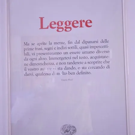 Sentirsi A Casa In Centro A Torino! * 都灵